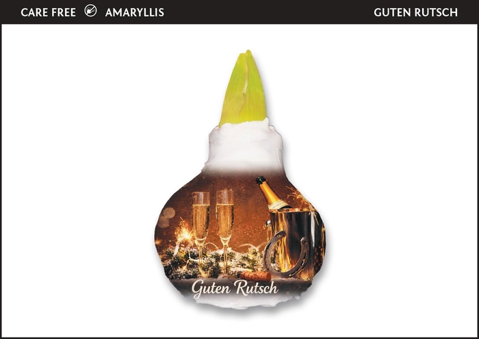 <h4>A.BULB of Art - 36cm Guten Rutsch</h4>