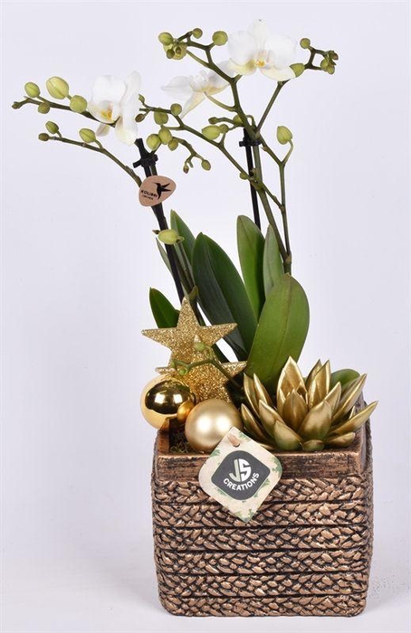 <h4>Cement vierk goud 13x13cm</h4>