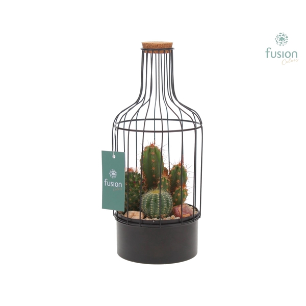 <h4>Fles metaal zwart Small met Cactussen</h4>