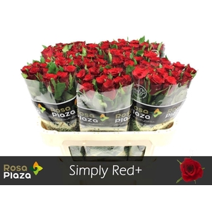 R GR SIMPLY RED+