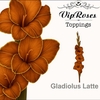 GLAD GR LATTE