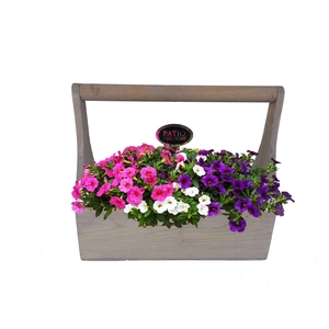 Arr.   Perkplanten L%