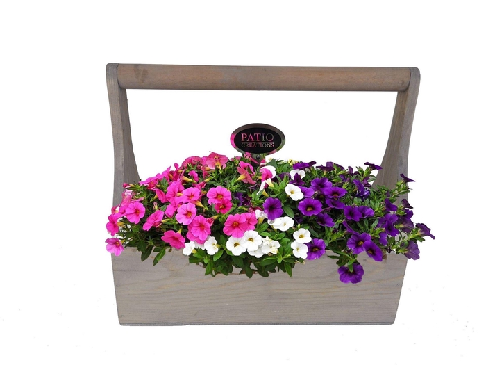 <h4>Arr. Perkplanten L%</h4>