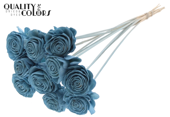Shola Beauty Rose 6cm on stem Light Blue