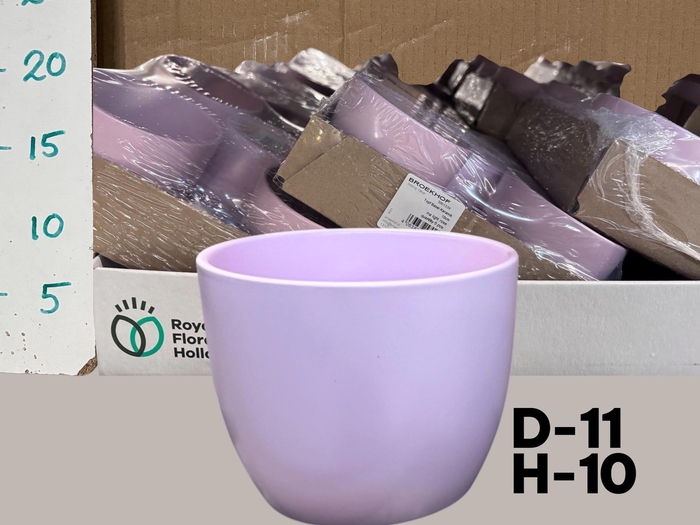 <h4>POT H%</h4>