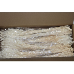 Dried Lagurus Bleached
