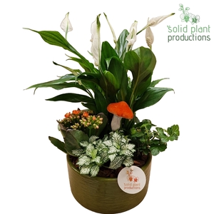 SP003 Loes Green Orange