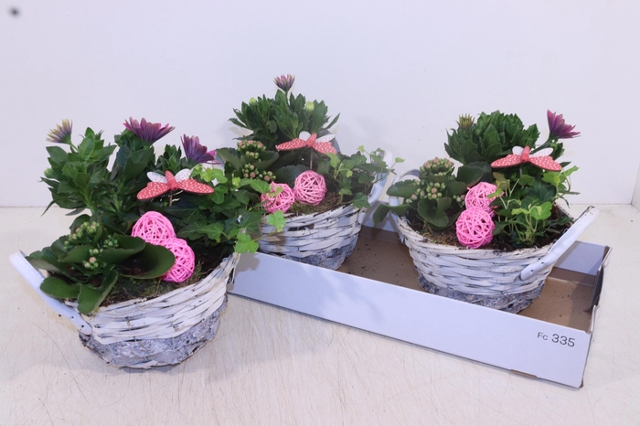 <h4>ARR TUINPLANTEN</h4>