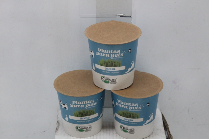 <h4>AVEIA ORNAMENTAL VASO BIODEGRADAVEL P10</h4>