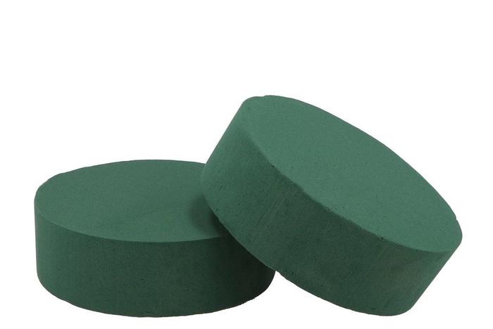 <h4>Oasis Steekschuim Taart 30x7cm P/12</h4>