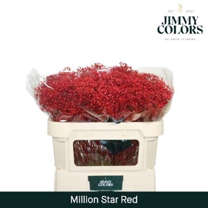 Gyps Million Star L70 Red