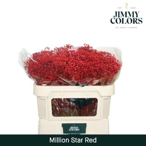 <h4>Gyps Million Star L70 Red</h4>