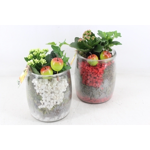 arr2 JS - Glas pot dik x3 - rood/wit