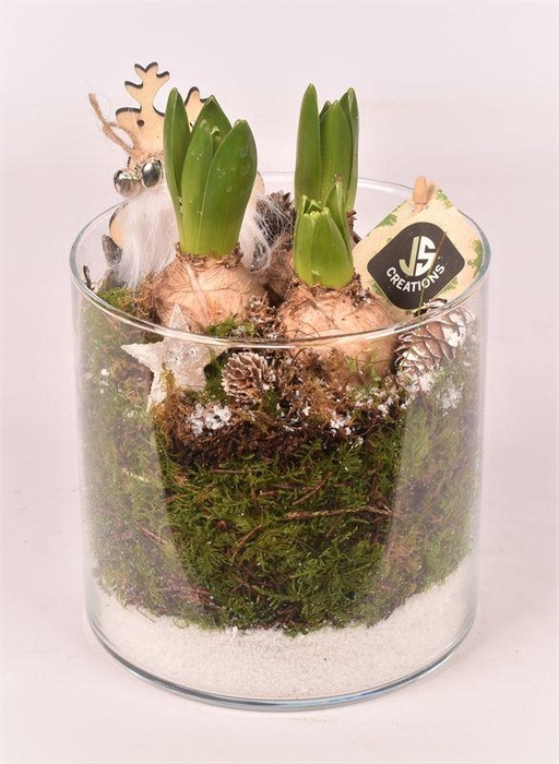 <h4>Glas cilinder 15cm/H 15cm</h4>