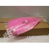 Feather ostrich ceris 5st/ bunch
