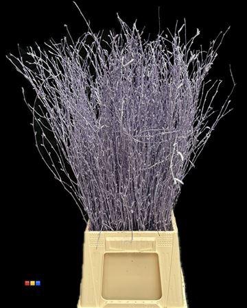 <h4>Betula / Berkentak Metallic Light Purple</h4>