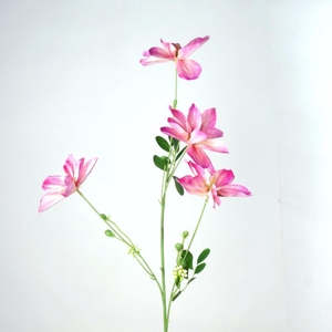 AF Clematis x4 L92cm d.pink