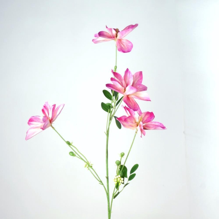 AF Clematis x4 L92cm d.pink