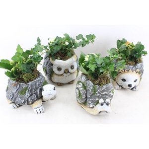 arr2 PL - Dierenmix indoor