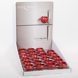 EMBALLAGE P6 MAGNETIC RED DISPLAY