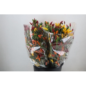 Pepers Paprika Mix