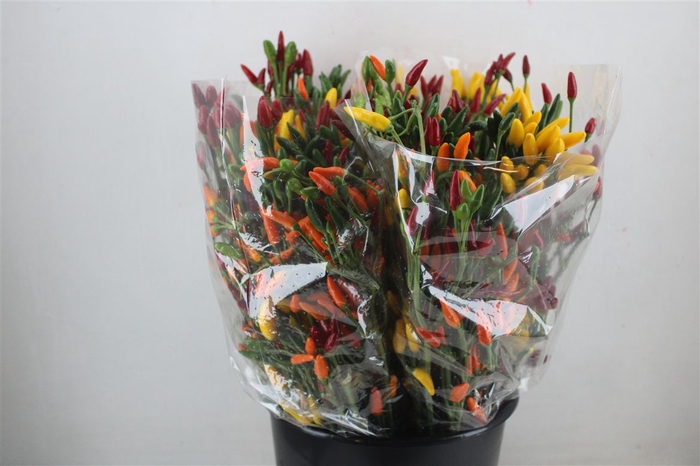 <h4>Pepers Paprika Mix</h4>