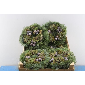 Adventskrans 6% Mix 1/2 20 Cm