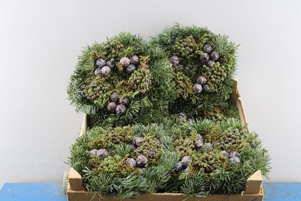 <h4>Adventskrans 6% Mix 1/2 20 Cm</h4>