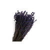 Lavendel Blue Dark Extra
