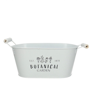 Zinc Botanical tray d24*14*10.5cm
