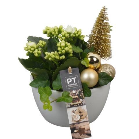 <h4>Opm Pt PTCHG5621 X-mas Gold Keramiek Schaal</h4>