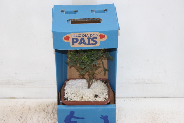 <h4>BONSAI JUNIOR VASO PLASTICO 1.1L</h4>