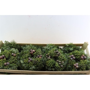 Wr Advent Naturel 20cm ( Anttar )