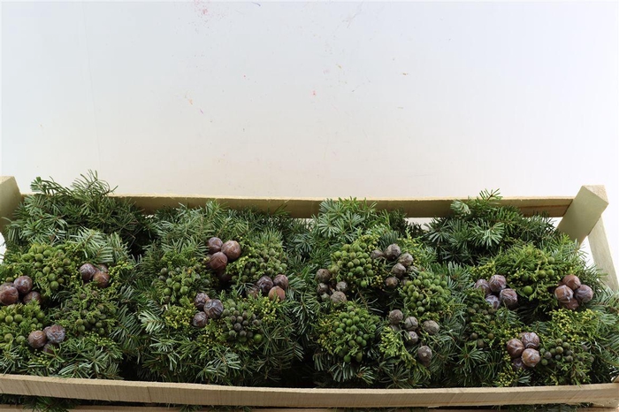 <h4>Wr Advent Naturel 20cm ( Anttar )</h4>