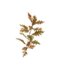 Oak Leaf Spray Brown Green LV330089BRN