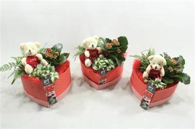 <h4>2372 ROOD GIFTBOX BEER</h4>