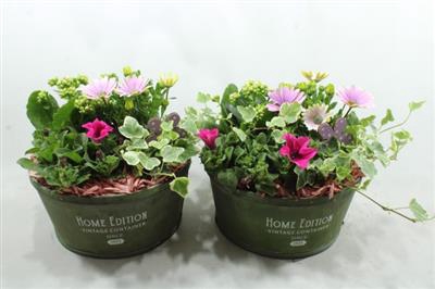 <h4>2588 Green Home Edition</h4>