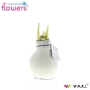 NO WATER FLOWERS WAX WHITE