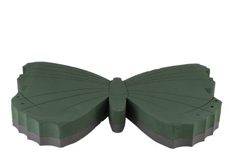 <h4>Oasis Vlinder 58x44x6cm Nm</h4>