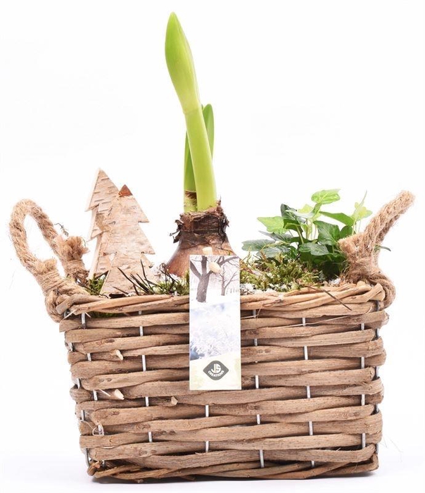 Wilg rechthoek 20x13.5cm