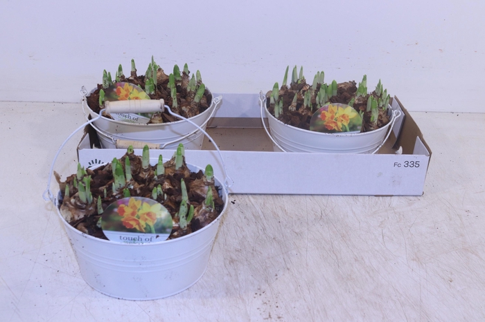 <h4>Arr N Tete A Tete</h4>