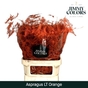 Aspa Lang Getopt Orange