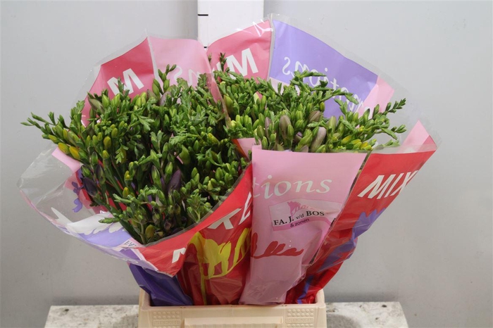 <h4>Fr En Gemengd 18gr</h4>