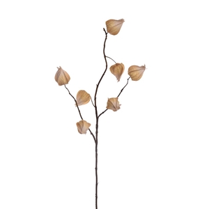 Lantern spray 82cm beige