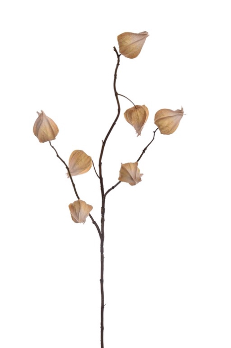 <h4>Lantern spray 82cm beige</h4>