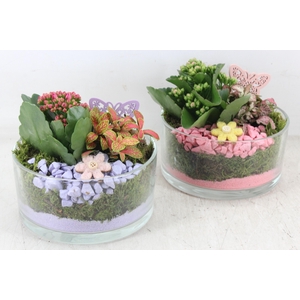 arr2 PL - Glas potje zwaar 285/6 - roze/lila