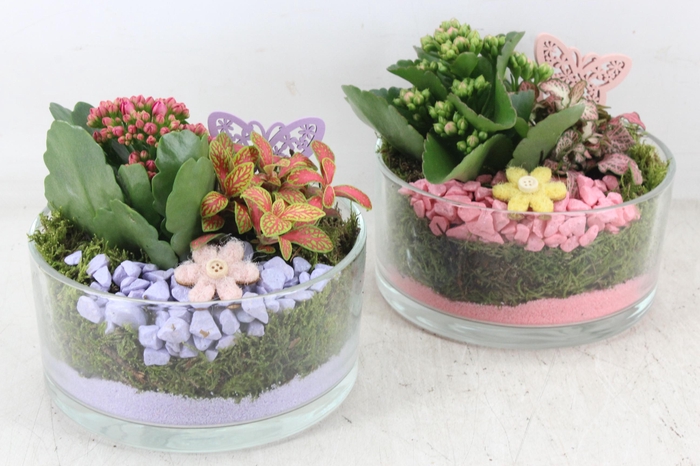 <h4>arr2 PL - Glas potje zwaar 285/6 - roze/lila</h4>