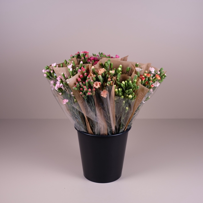 <h4>Bq Mono Tulips mix 10-er 24 gr.</h4>