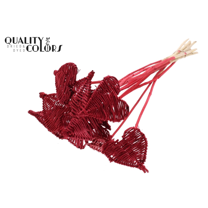 <h4>Lata Heart 8cm on stem Hat type Red</h4>