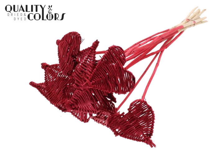 Lata Heart 8cm on stem Hat type Red